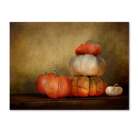 Jai Johnson 'Pumpkins Still Life' Canvas Art,14x19